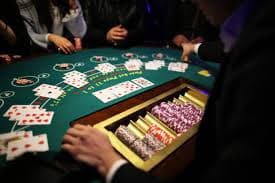 Dealer melempar dadu dalam studio ayo bet